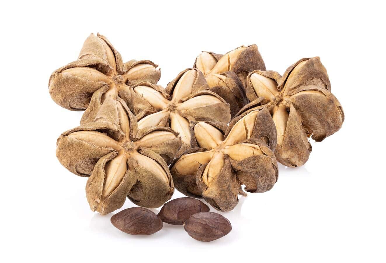 印加果油與印加果 什麼是印加果油
印加果油功效 印加果油副作用
印加果油推薦